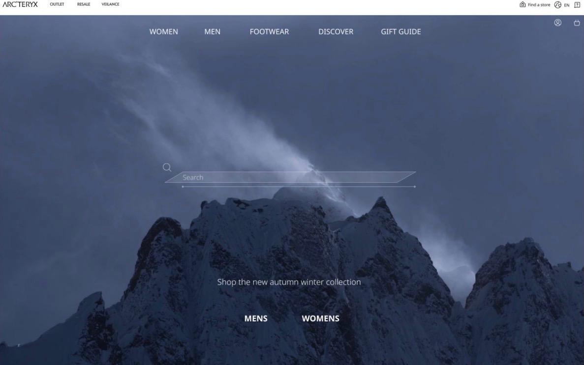 Project title