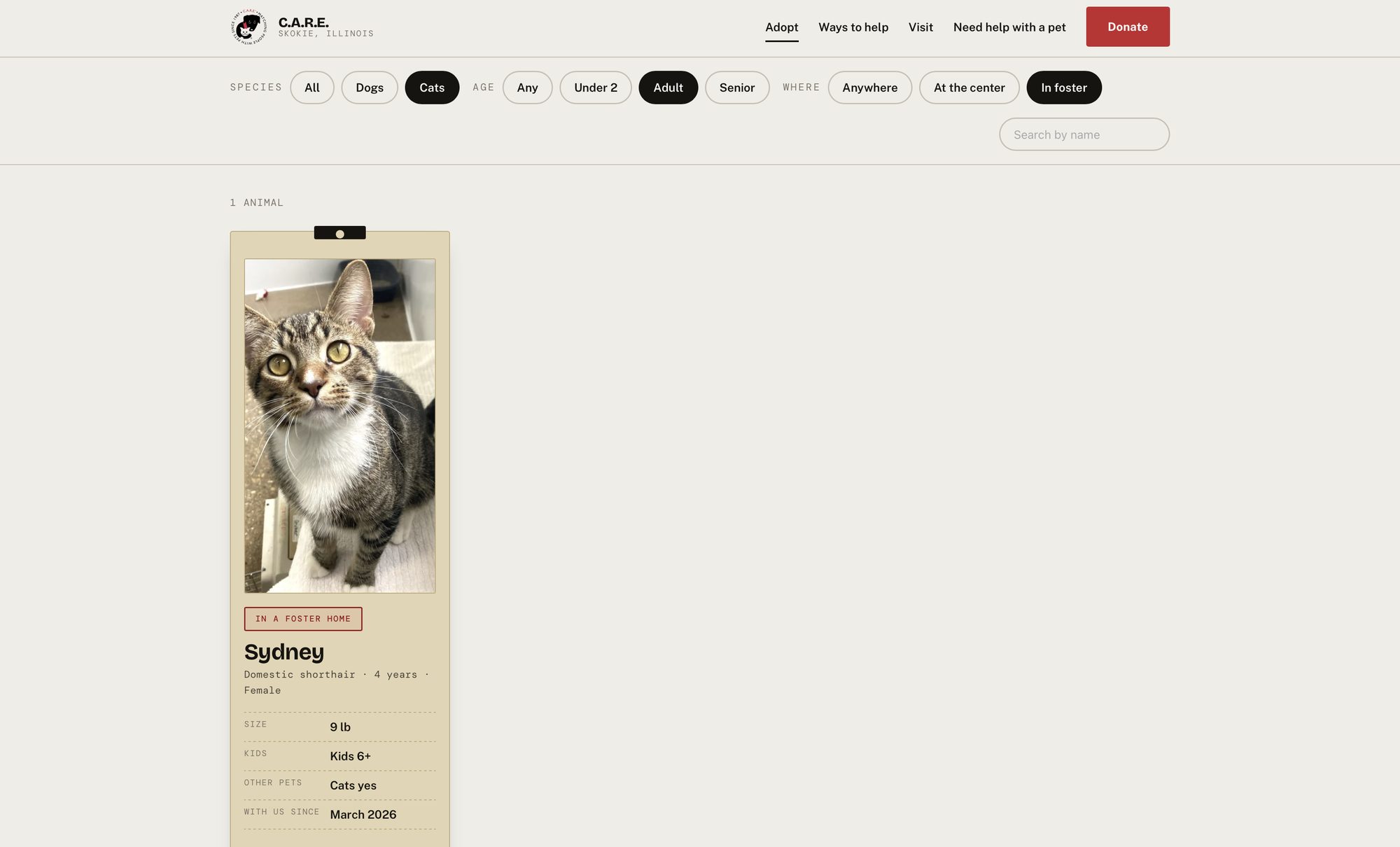 The same page filtered to cats, adult, in foster — the count reads one animal and a single card for Sydney remains.