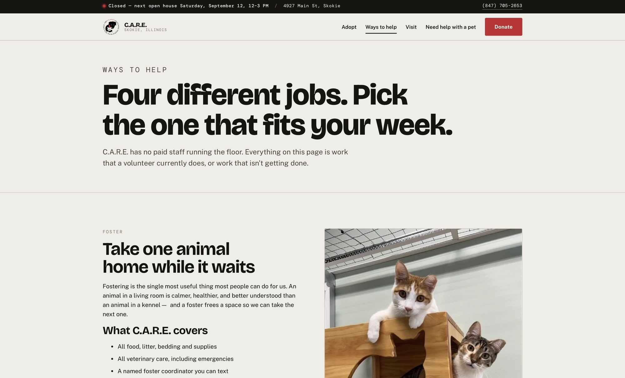 Ways to help page headed Four different jobs. Pick the one that fits your week, followed by the foster section and a photograph of two cats in a shelter enclosure.