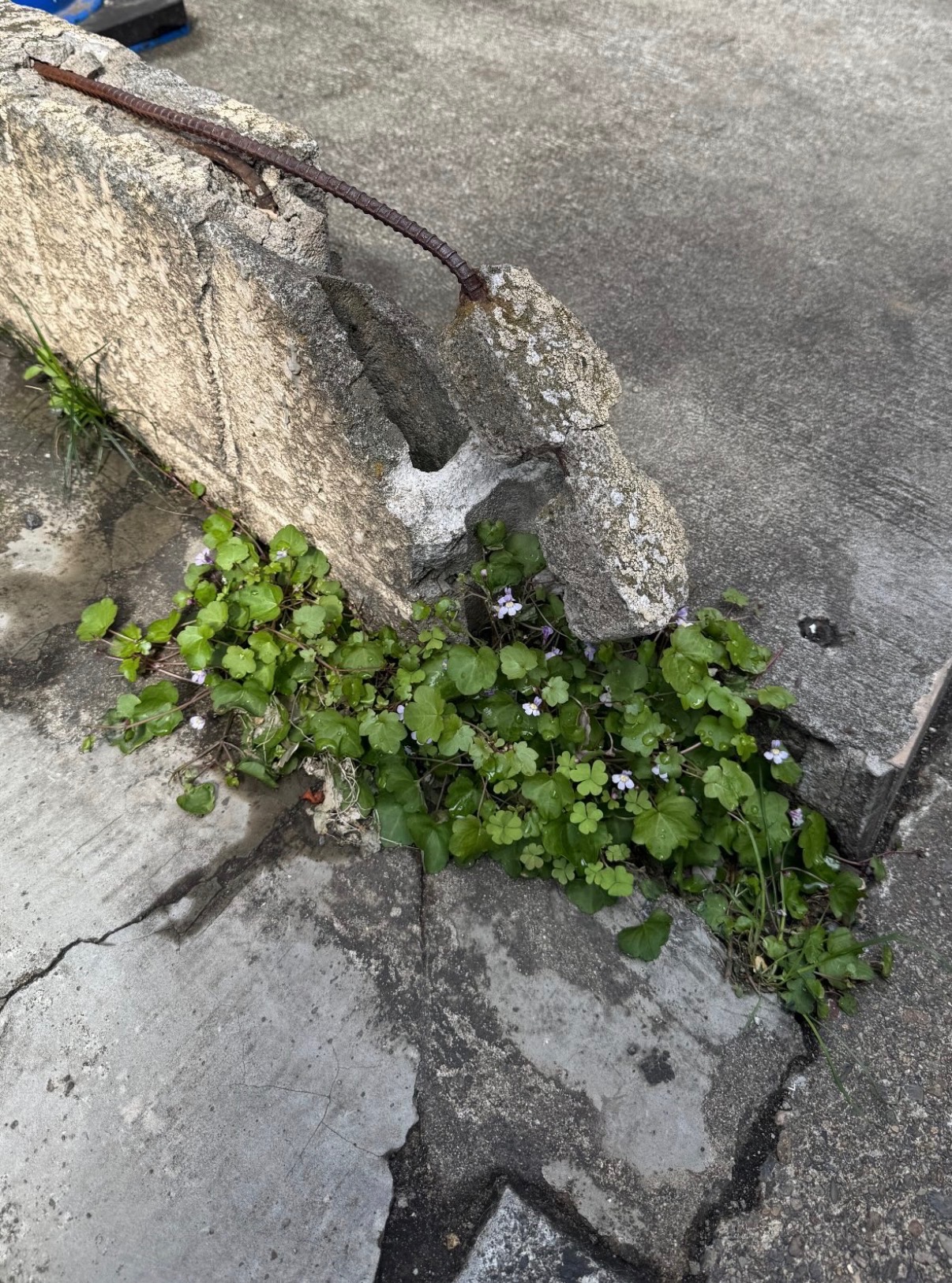 Photograph three